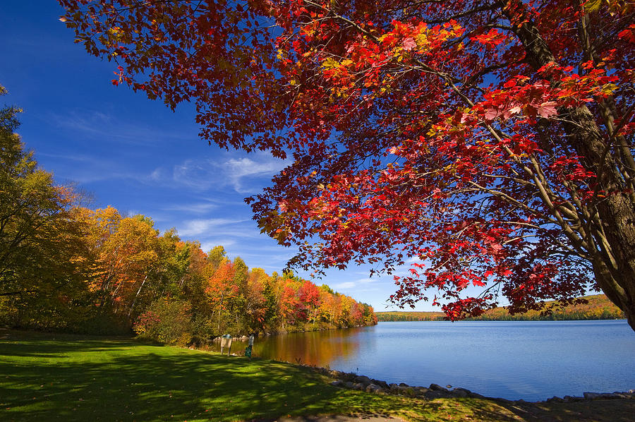 Maine, Lake George, Autumn Digital Art by Franco Cogoli - Fine Art America