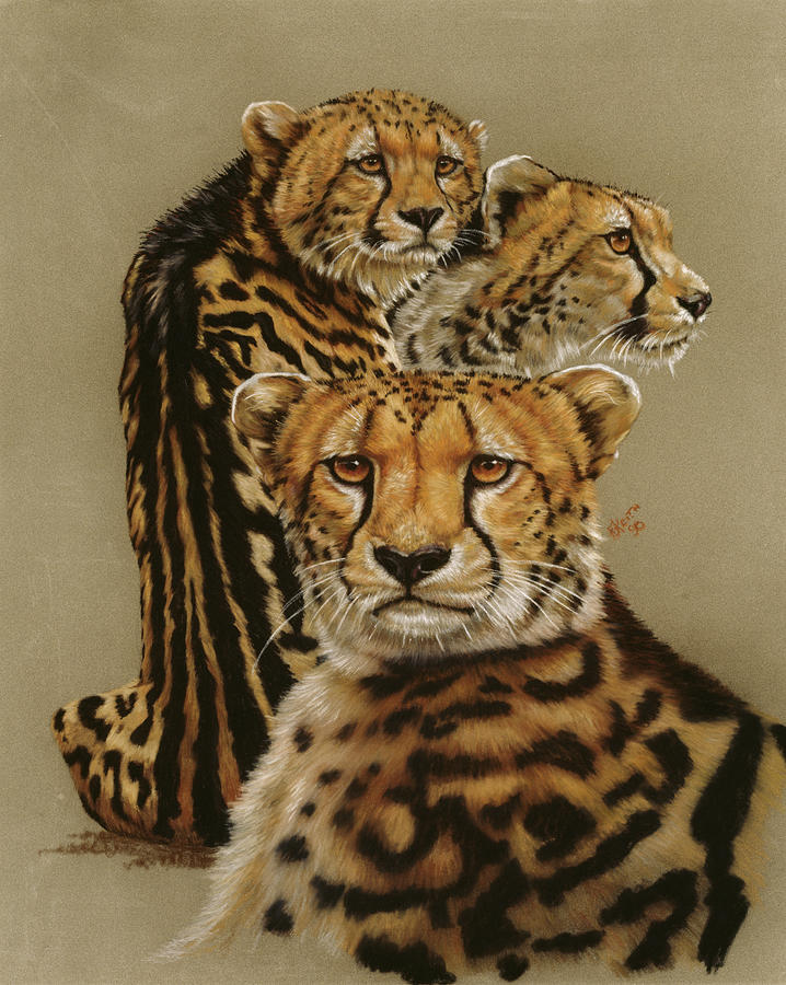 Cheetah Painting - Majestic Vagabond #1 by Barbara Keith