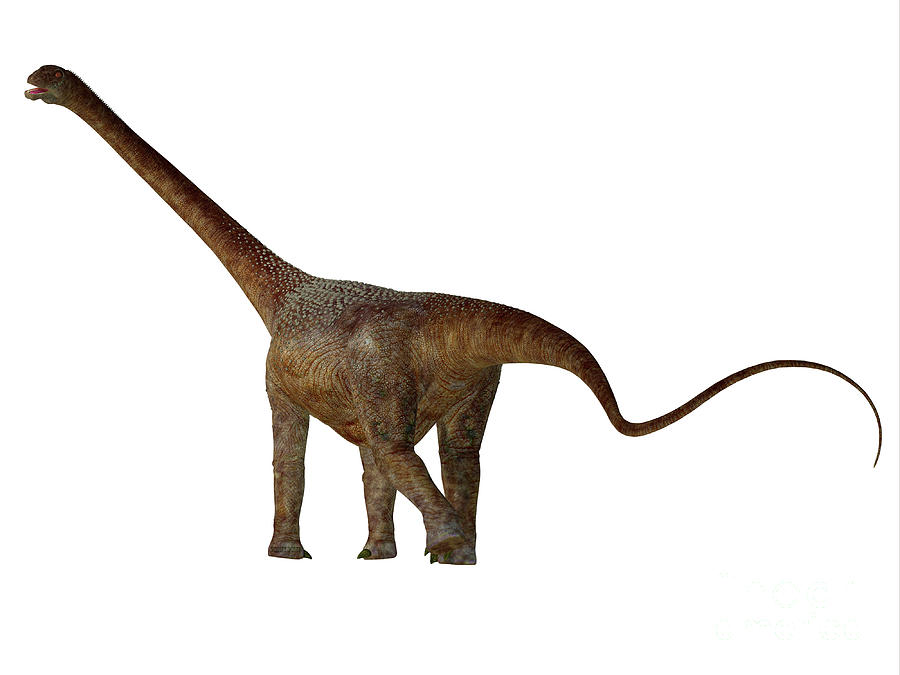 Prehistoric Digital Art - Malawisaurus Dinosaur Tail #1 by Corey Ford