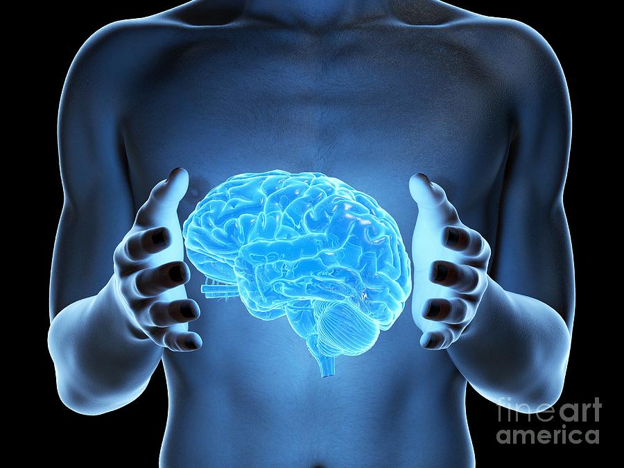 Man Holding A Brain #1 Photograph by Sebastian Kaulitzki/science Photo Library