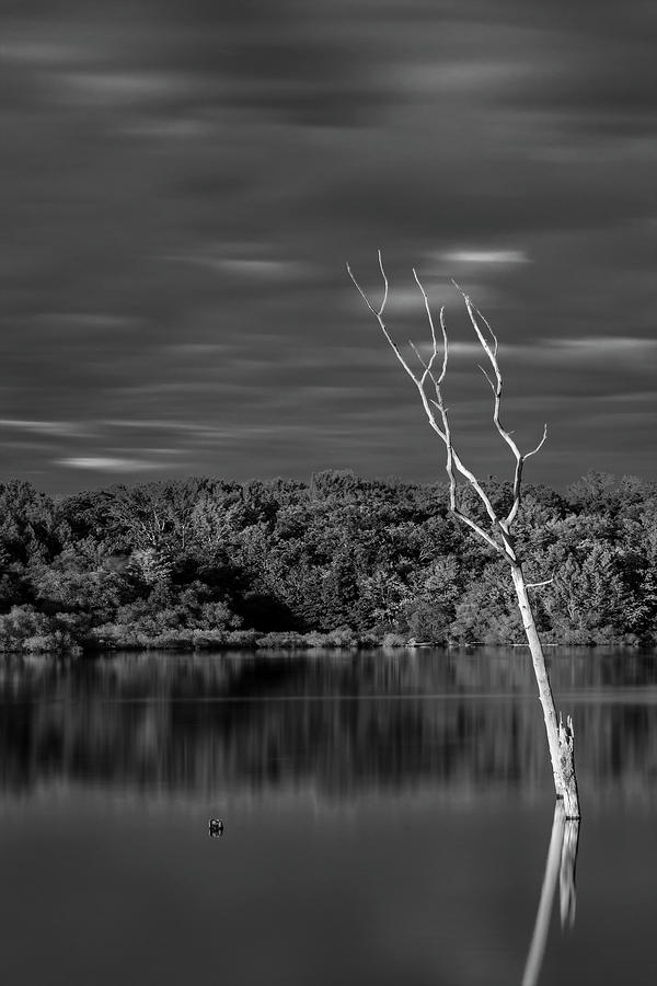 Manasquan Reservoir Stand Out #1 Photograph by Susan Candelario