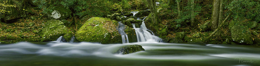 Mannis Branch Falls #1 Photograph by Nunweiler Photography