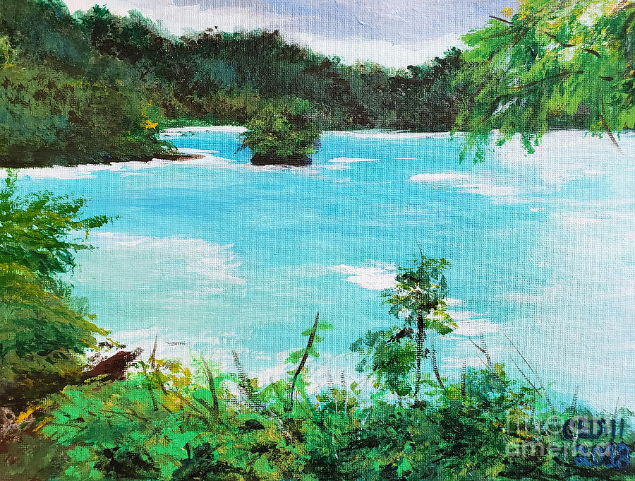 Manuel Antonio National Park, Costa Rica #1 Painting by C E Dill