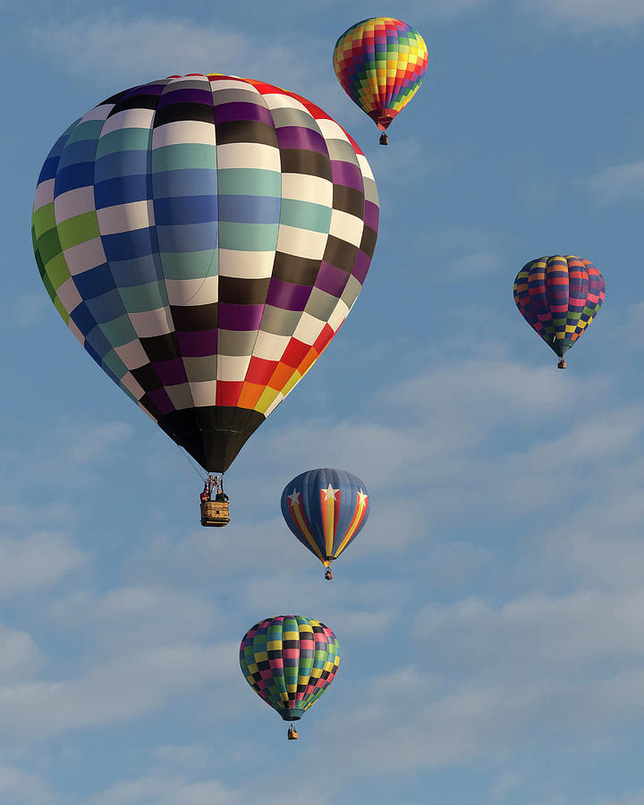 Mass Ascension Albuquerque Photograph by Maresa Pryor Fine Art America