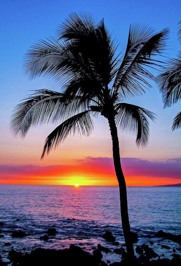 Maui Sunset #1 Photograph by Doug Davidson