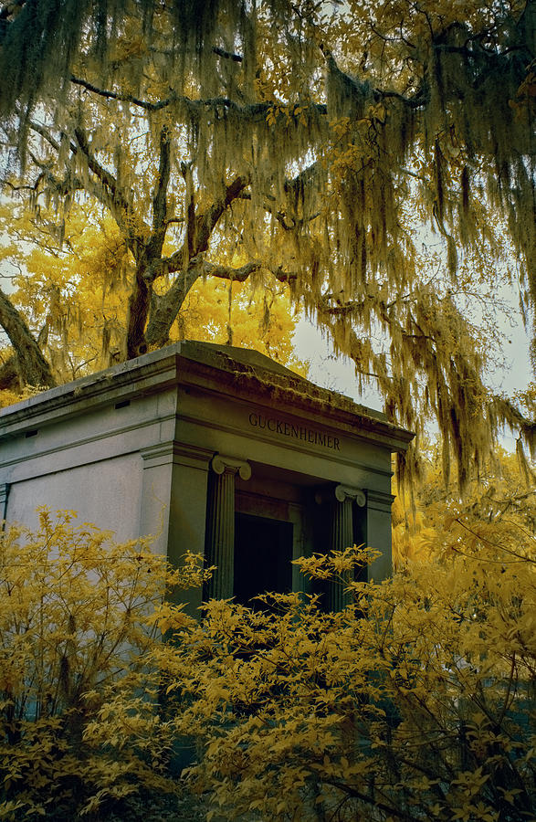 Mausoleum in Georgia #1 Photograph by Jon Glaser