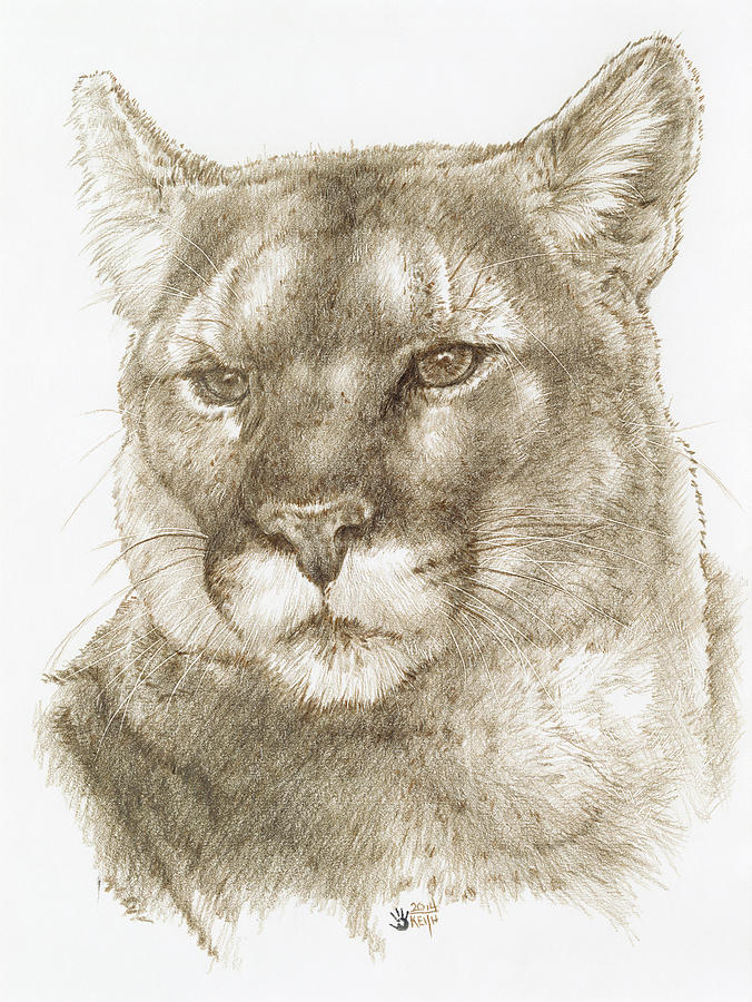 Panther Painting - Maverick #1 by Barbara Keith