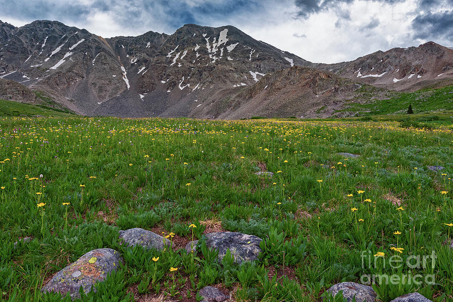 Mayflower Gulch by Bitter Buffalo Photography Mayflower Gulch by Bitter Buffalo Photography