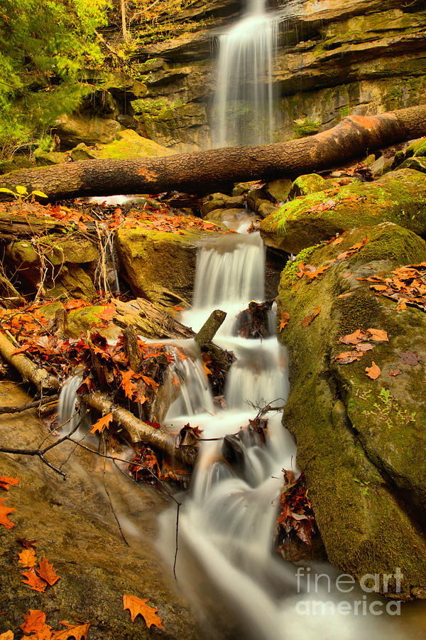 Autumn At McConnells Mill Alpha Falls Photograph by Adam Jewell