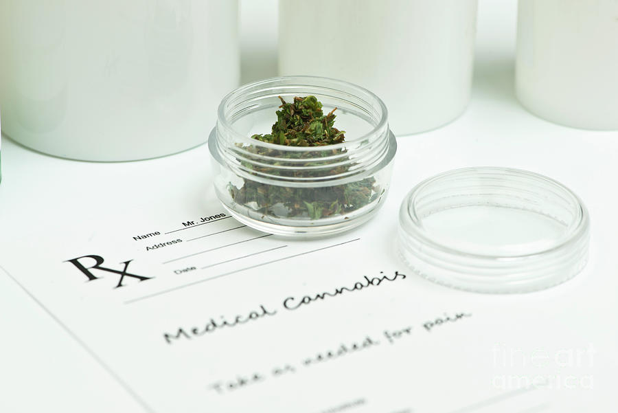 Medical Marijuana #1 by Sherry Yates Young/science Photo Library