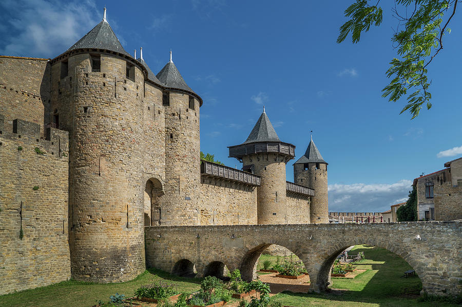 Medieval Fortified City Of Carcassonne, France #1 Digital Art by Lost ...