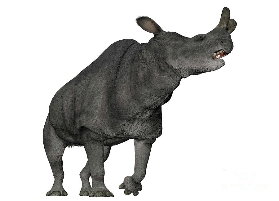 safari ltd megacerops