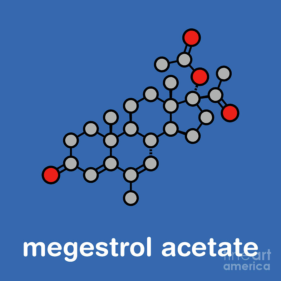 Megestrol Acetate Appetite Stimulant Drug Molecule #1 Photograph by Molekuul/science Photo Library