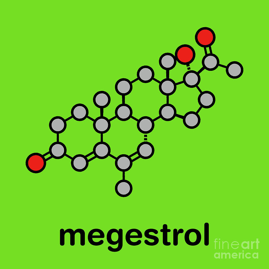 Ring Photograph - Megestrol Appetite Stimulant Drug Molecule #1 by Molekuul/science Photo Library