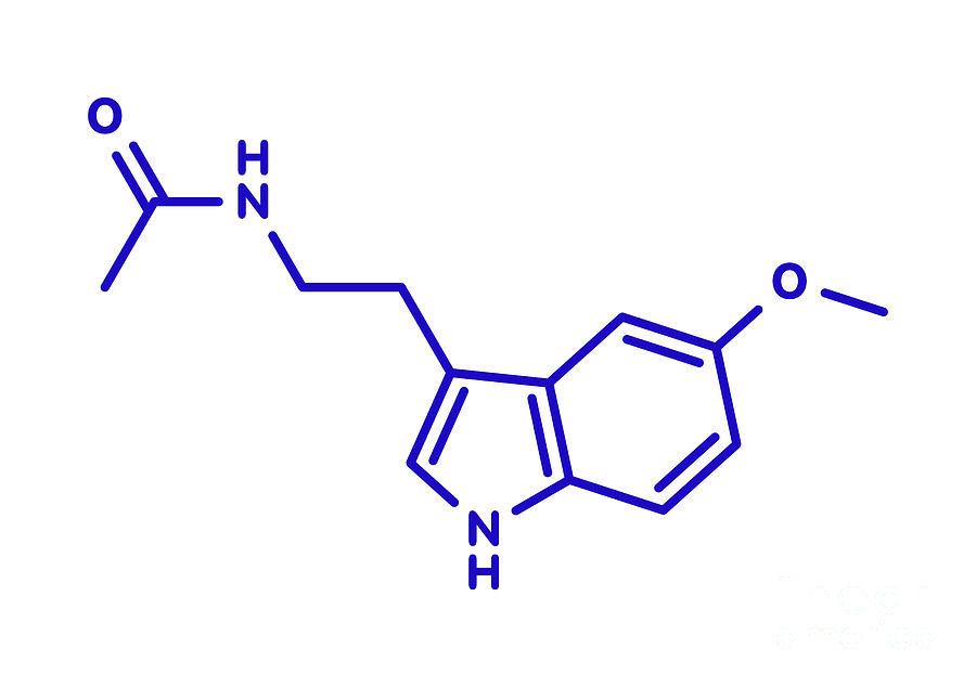 Melatonin Hormone Molecule #1 Photograph by Molekuul/science Photo Library