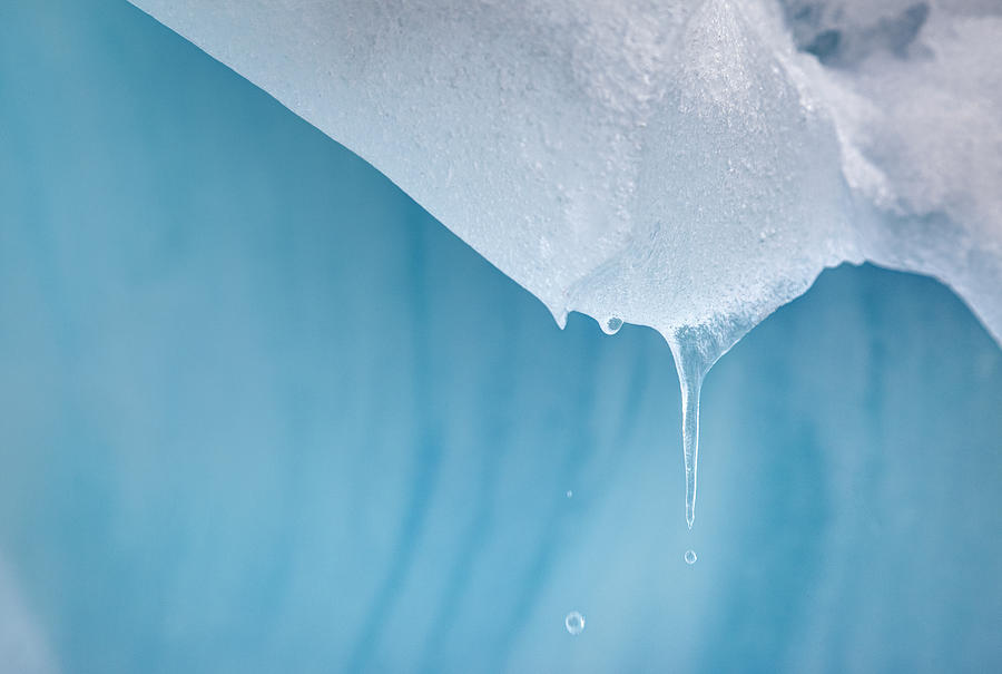 Melting Icicle, Blue Glacial Ice Photograph by Jeffrey Conley Melting Icicle, Blue Glacial Ice Photograph by Jeffrey Conley