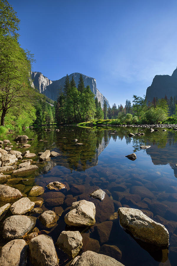 Merced River With El Capitan In Yosemite National Park In Summer, Usa ...