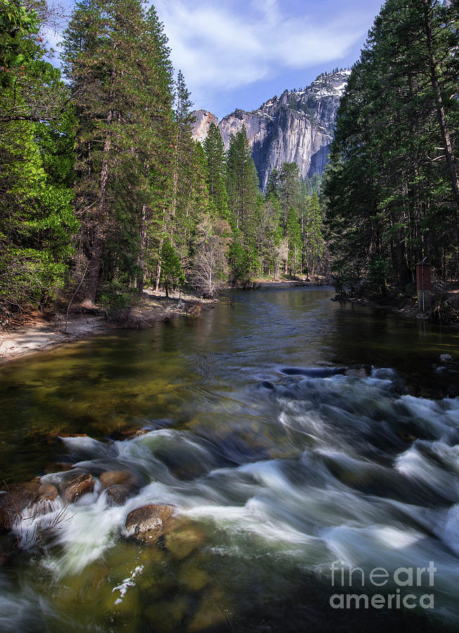 Merced River, Yosemite National Park Photograph by Yefim Bam