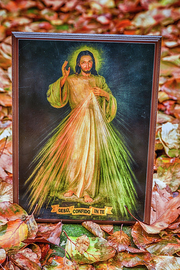 Fall Photograph - Merciful Jesus icon among fallen Autumn leaves  #1 by Vivida Photo PC