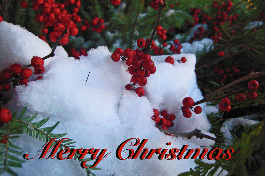 Merry Christmas #1 Photograph by Shoal Hollingsworth