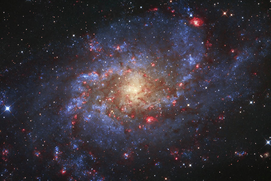 Messier 33, The Triangulum Galaxy #1 Photograph by Lorand Fenyes