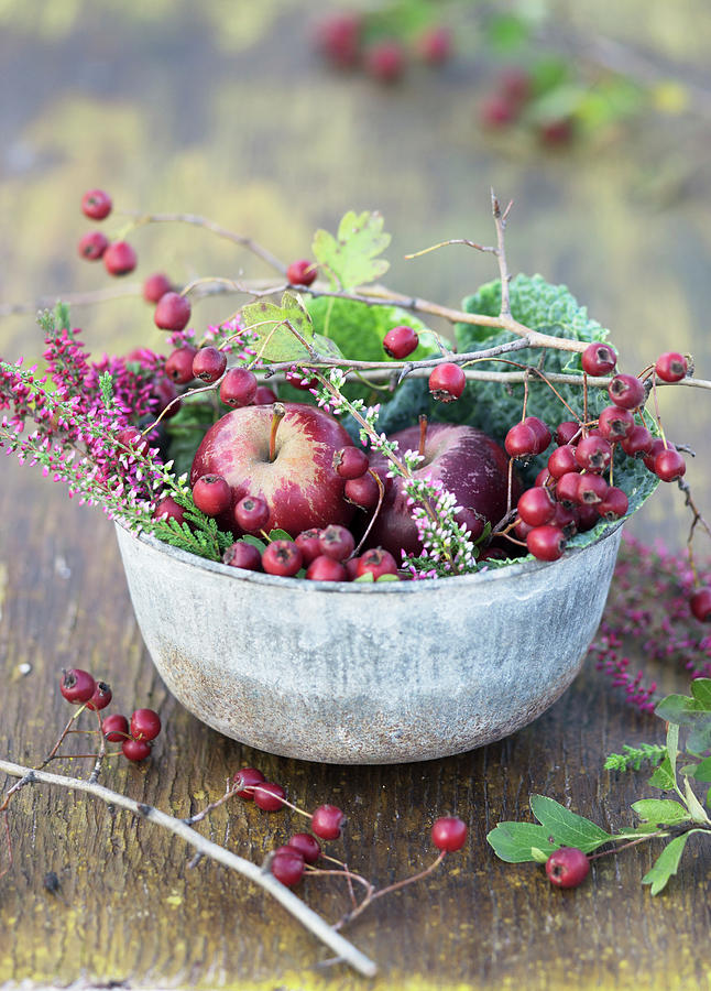 Metal Bowl Filled With Haws, Apples, Savoy Cabbage And Heather #1 Photograph by Martina Schindler