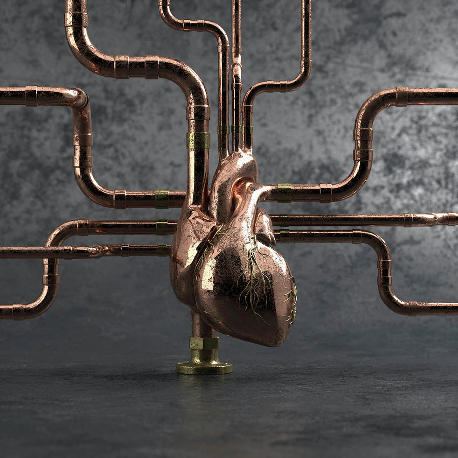 Metal Pipework Connected To Human Heart #1 Photograph by Ikon Images