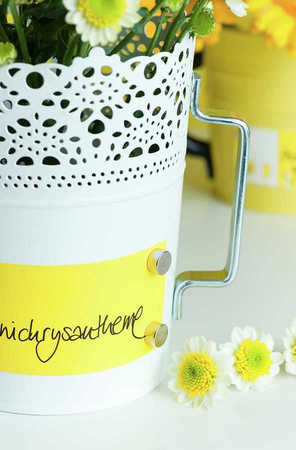 Metal Plant Pots With Labels Attached Using Magnets #1 Photograph by Studio27neun