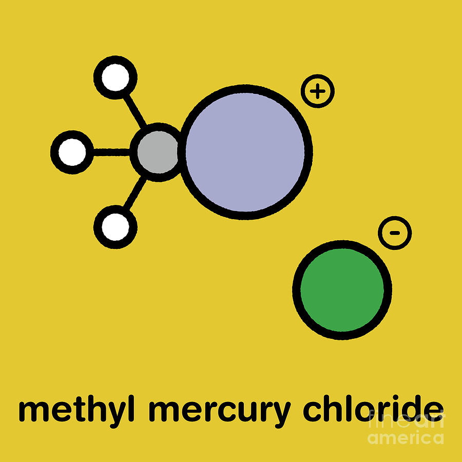 Methylmercury Cation Environmental Pollutant Photograph by Molekuul ...