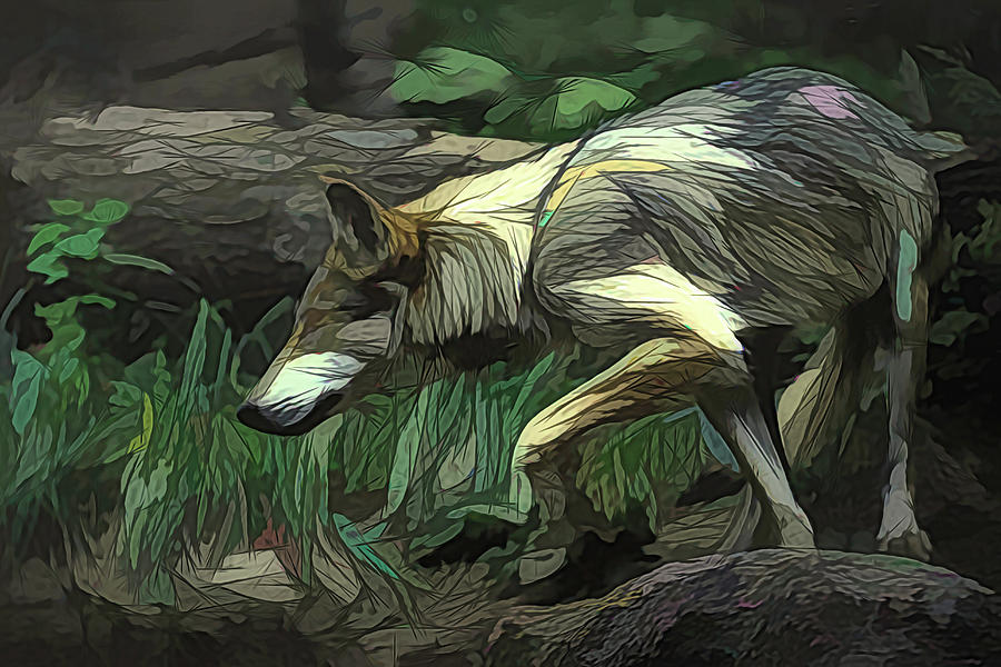 Mexican Grey Wolf DA #1 Digital Art by Ernest Echols