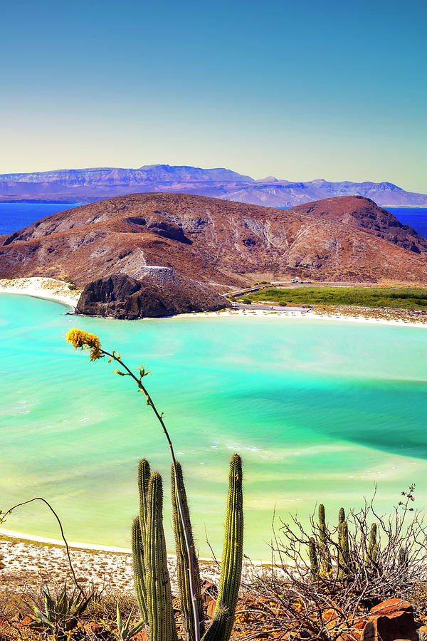 Mexico, La Paz, Baja California Sur Peninsula, Playa Balandra, Beach ...