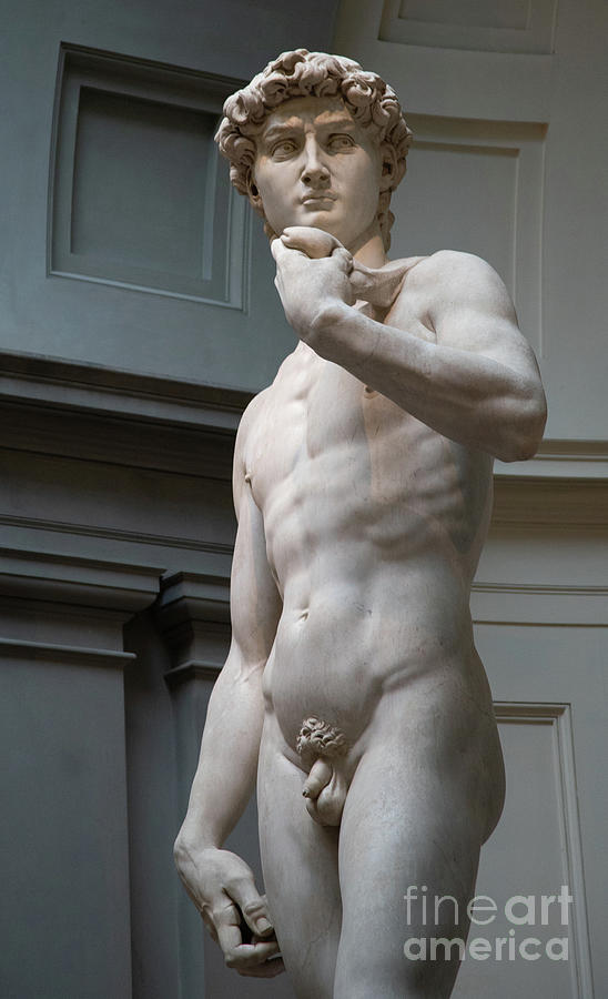 Michelangelo David Marble Statue, Accademia Gallery, Florence, Italy Art Print #2 Photograph by Wayne Moran