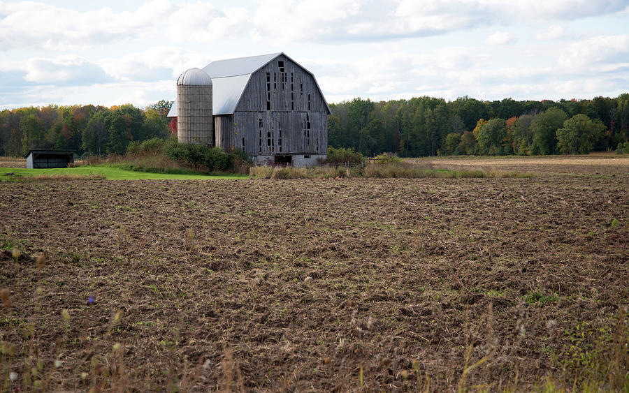 Michigan Barn Photograph