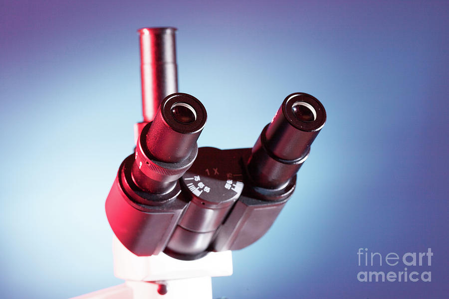 Microscope Binocular Eyepiece Photograph by Wladimir Bulgar/science