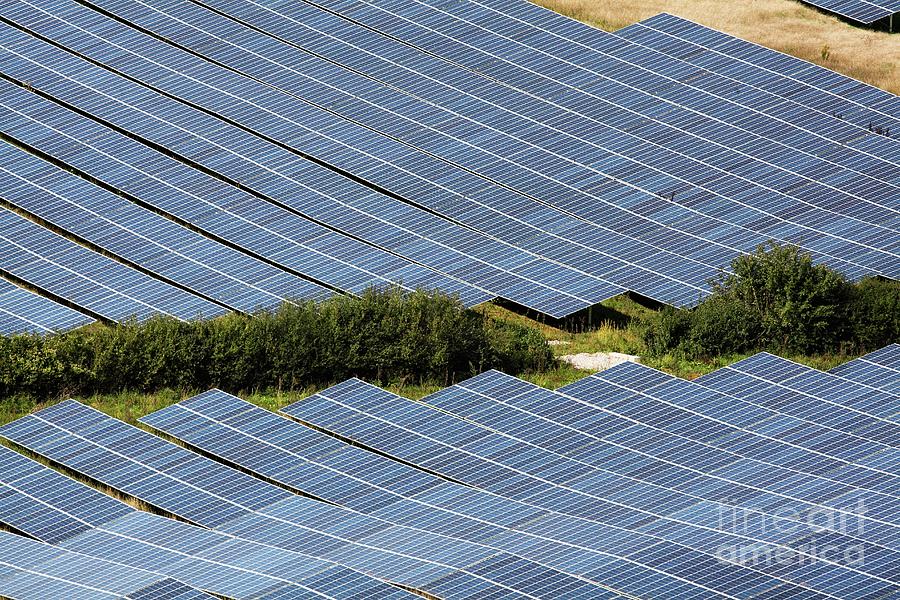 Milborne Port Solar Farm Panels #1 Photograph by Martin Bond/science Photo Library
