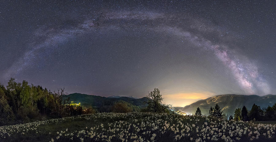 Milky Way And Daffodils #1 Photograph by Ales Krivec