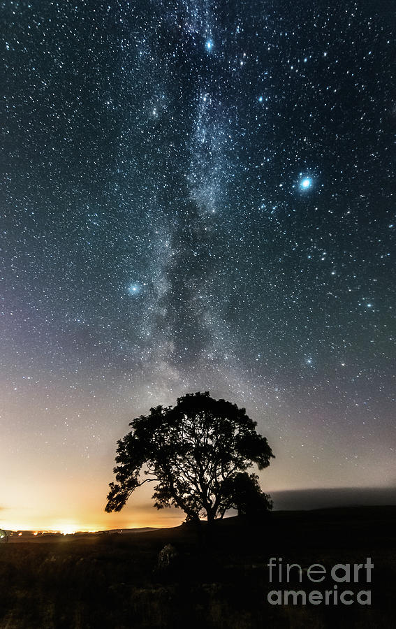 Milky Way And The Lonely Tree On The Limestone Pavement Photograph