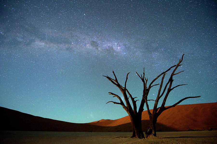 Milky Way Over Dead Vlei Soussvlei #1 Photograph by Nhpa