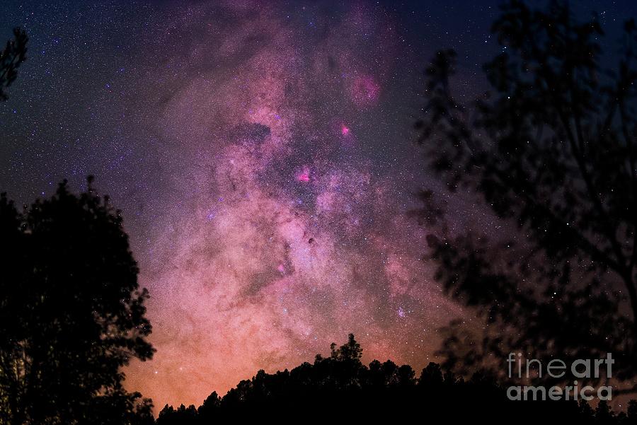 Milky Way Over Trees Photograph by Juan Carlos Casado (starryearth.com ...