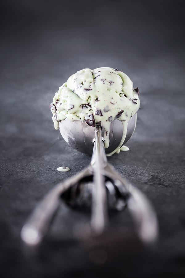 Mint Ice Cream With Chocolate Chips #1 Photograph by Kati Finell