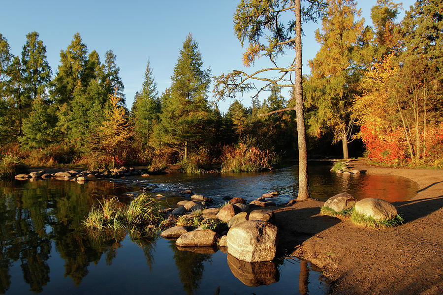 Mississippi River Headwaters In The Fall Photograph By Rolf Jacobson   1 Mississippi River Headwaters In The Fall Rolf Jacobson 