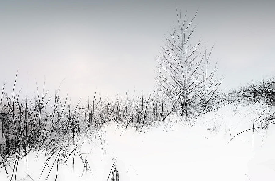 Misty Lines In Wintertime  Mixed Media by Aleksandrs Drozdovs