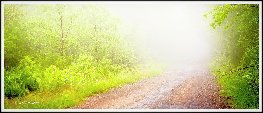 Misty Back Road, Pocono Mountains, Pennsylvania #3 Photograph by A Macarthur Gurmankin
