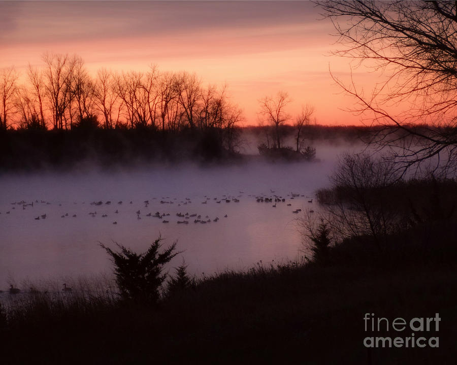 Misty Morning Sunrise #1 Photograph by Kathy M Krause