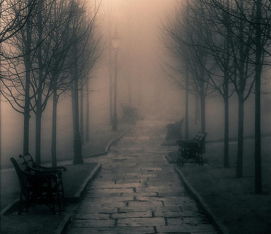 Tree Photograph - Misty Path #1 by William Eiffert