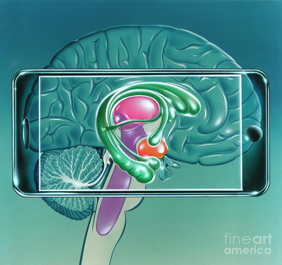 Mobile Phones And Addiction #1 Photograph by John Bavosi/science Photo Library