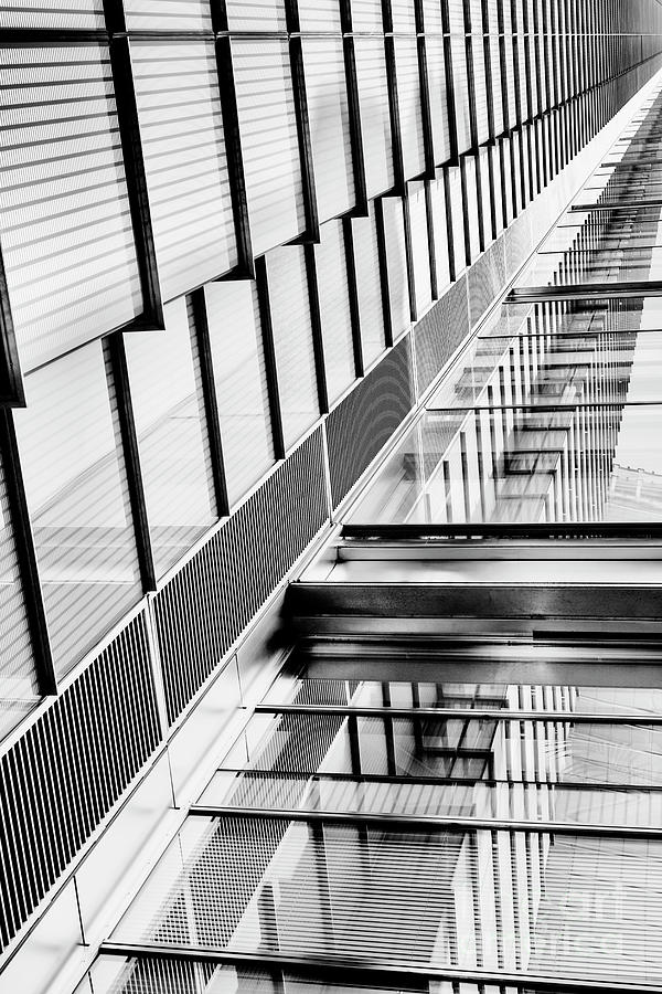 Modern Lines #1 Photograph by Tim Gainey