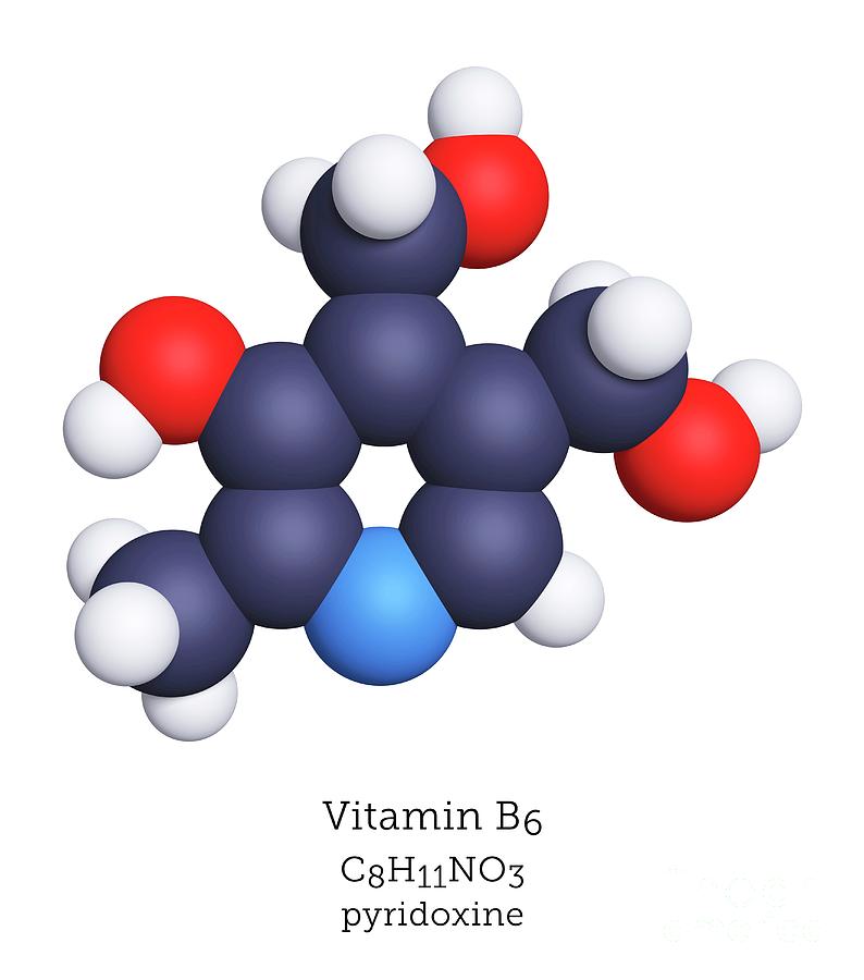 Molecular Model Of Vitamin B6 #1 By Greg Williams/science Photo Library