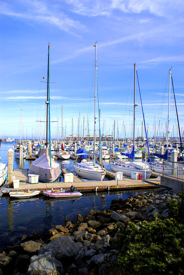 Monterey Harbor California #1 Photograph by Barbara Snyder