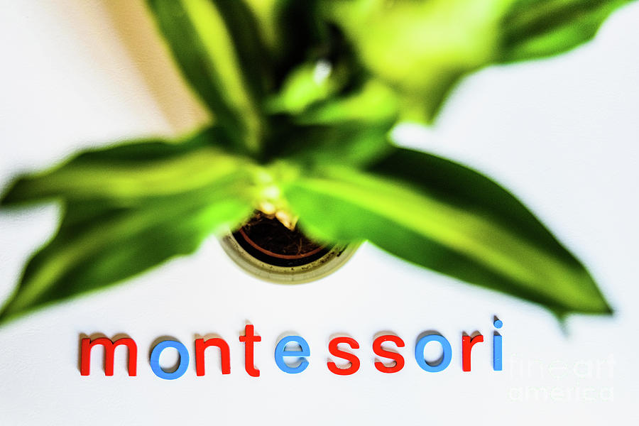 Montessori word written with colorful letters on white backgroun #1 Photograph by Joaquin Corbalan